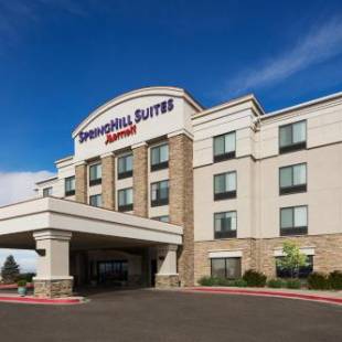 Фотографии гостиницы 
            SpringHill Suites by Marriott Denver Airport