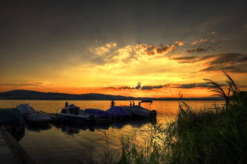 Фотография гостиницы Sonne Seehotel