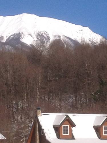 Фотография гостевого дома Золотой Каштан