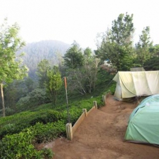 Фотография кемпинга JFR Campsite Ooty