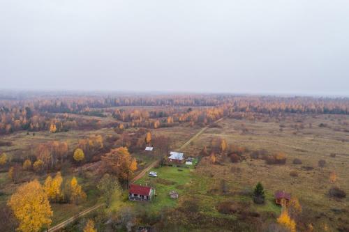 Фотографии гостевого дома 
            Под липой