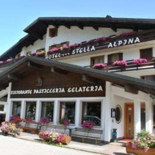 Фотографии гостиницы 
            Hotel Stella Alpina