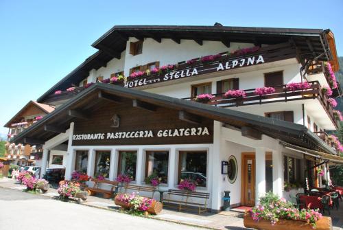 Фотография гостиницы Hotel Stella Alpina