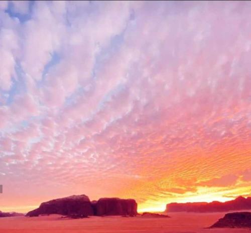 Фотографии базы отдыха 
            Wadi Rum lantern camp