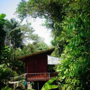 Фотографии гостевого дома 
            Wooden Hut Koh Kood