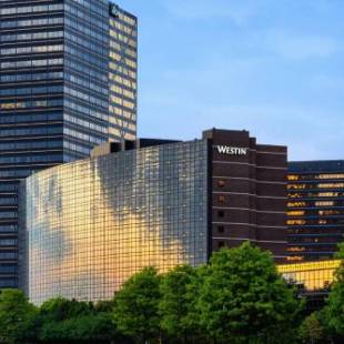 Фотографии гостиницы 
            The Westin Southfield Detroit