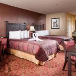 Фотография гостиницы Castle Inn and Suites Anaheim