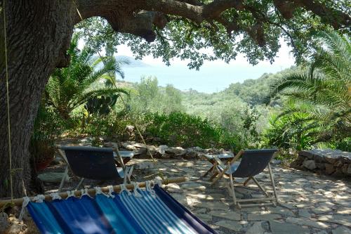 Фотография гостевого дома Wellanidia Cottage Skoutari