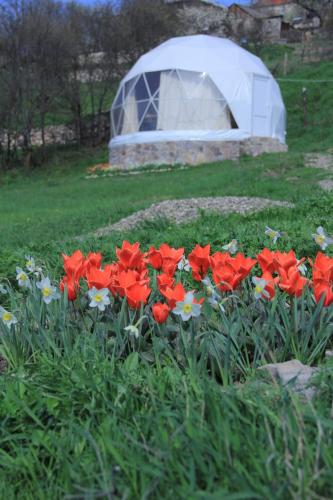 Фотография базы отдыха Yenokavan Glamping