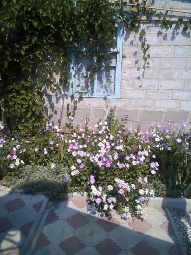 Фотография гостевого дома У Даниловны