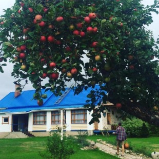 Фотография гостевого дома Сестра Земли