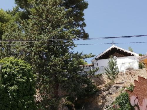 Фотография гостевого дома Casa Rural Casa Forestal