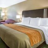 Фотография гостиницы Comfort Inn Yosemite Area