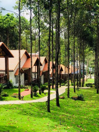 Фотография гостиницы Đồi Sao Phú Quốc