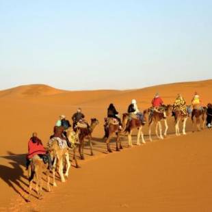 Фотографии кемпинга 
            Sahara camel tours camp