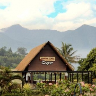 Фотография гостиницы Alfa Resort Hotel and Conference