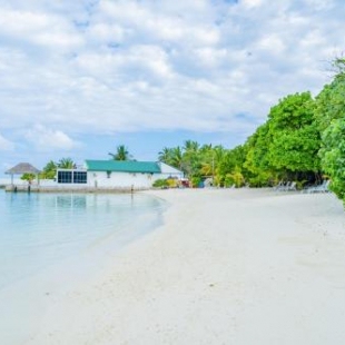 Фотография гостиницы Casa Paguro Bodufolhudhoo