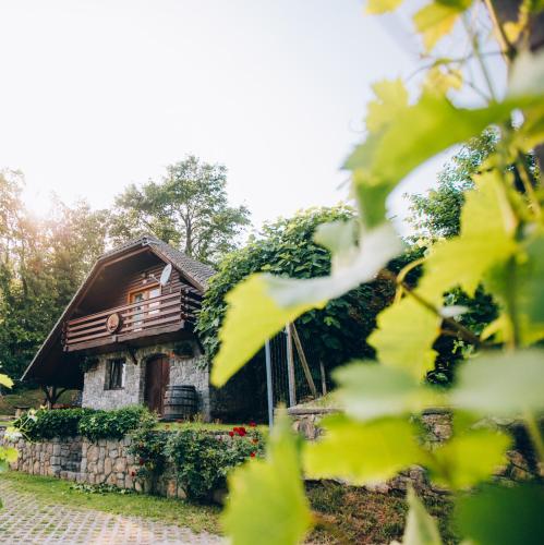 Фотографии гостевого дома 
            Vineyard Cottage Rataj