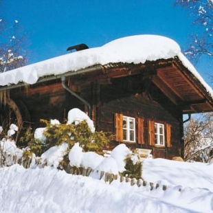 Фотография гостевого дома Chalet Hüttl - GSN100