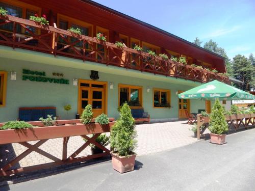 Фотография гостиницы Hotel Polovnik