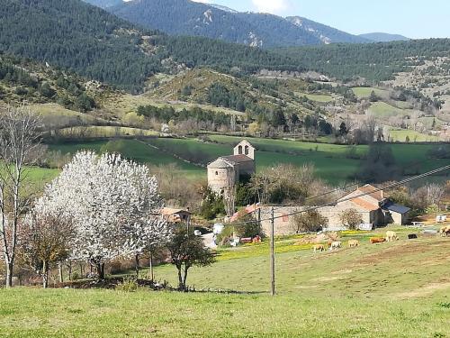 Фотографии хостела 
            Alberg Rural La Rectoria de Pedra