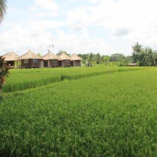 Фотографии базы отдыха 
            Taman Bintang Villa Ubud