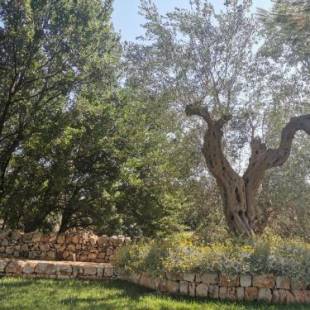 Фотографии базы отдыха 
            Agriturismo Masseria Del Crocifisso