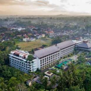 Фотографии гостиницы 
            Element by Westin Bali Ubud