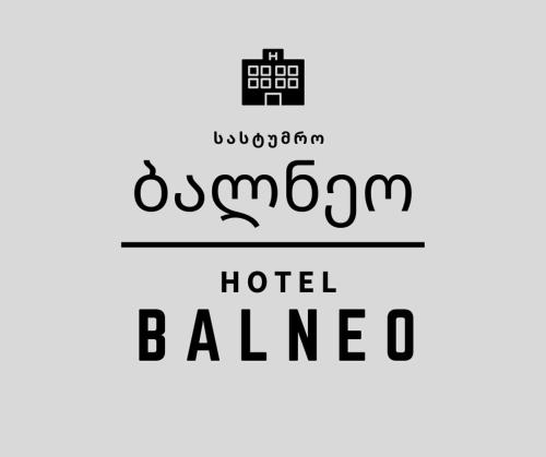 Фотографии гостиницы 
            Balneo Hotel