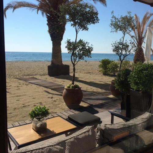 Фотография гостиницы Hotel Avra