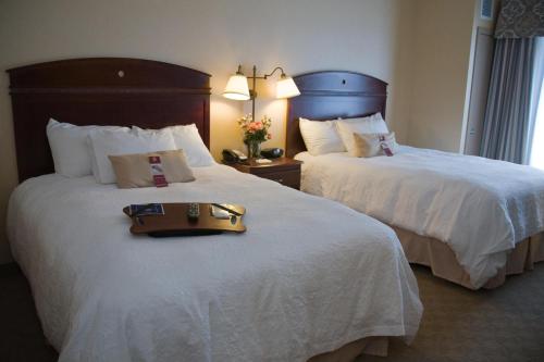 Фотография гостиницы Hampton Inn Watertown