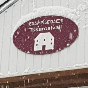 Фотография гостевого дома Tskarostvali