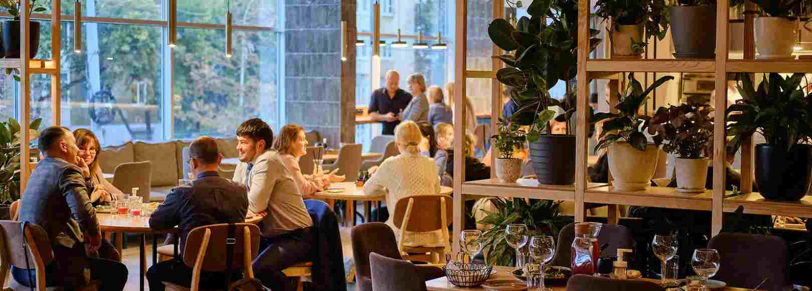 Фотография банкетного зала Рататуй на Луначарского Весь зал