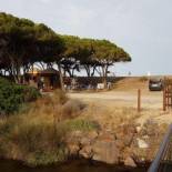 Фотография гостевого дома casa su rimediu