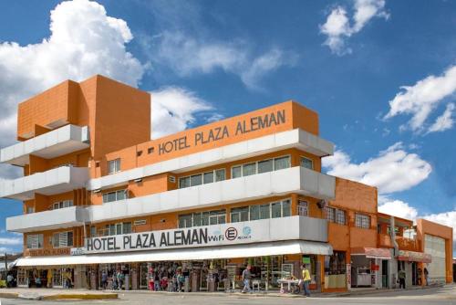 Фотографии гостиницы 
            Hotel Plaza Aleman