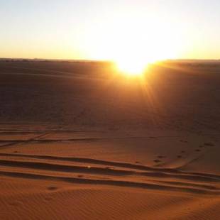 Фотографии базы отдыха 
            Desert Night Camp