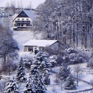 Фотография гостевого дома Ferienbungalow Nähe Willingen-Winterberg