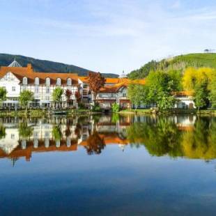 Фотографии гостиницы 
            Landhaus Zu den Rothen Forellen