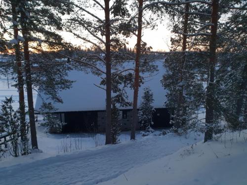 Фотографии гостевого дома 
            Alppihimos Cottage