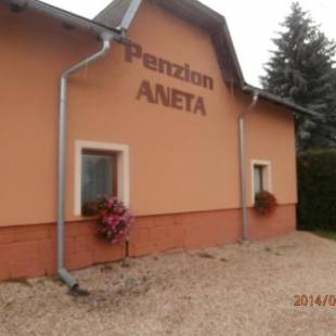 Фотографии гостевого дома 
            Penzion Aneta