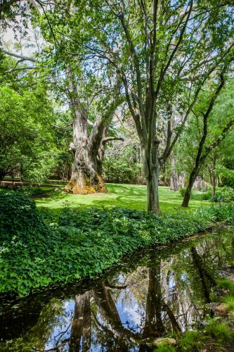 Фотография гостевого дома Anderland - De Oude Melkstal
