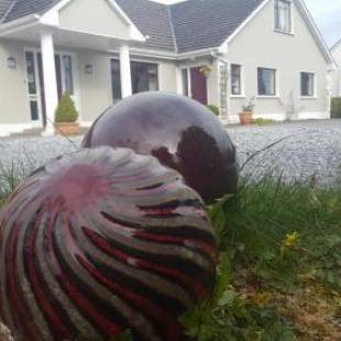 Фотография мини отеля Ely House B&B