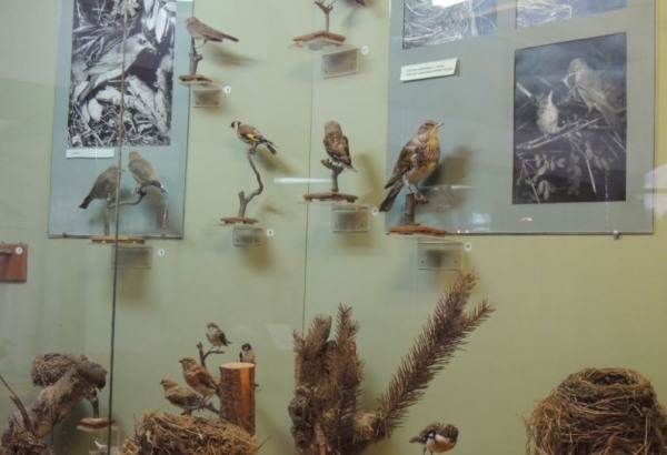 Фотография музея Музей природы Селигерского края