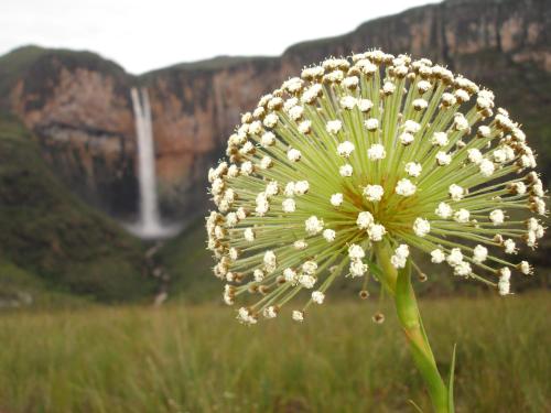 Фотографии мини отеля 
            Pousada Tabuleiro Eco