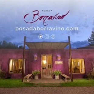 Фотография мини отеля Posada Borravino