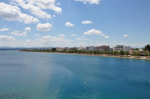 Фотографии гостиницы 
            Hotel Lefkadi