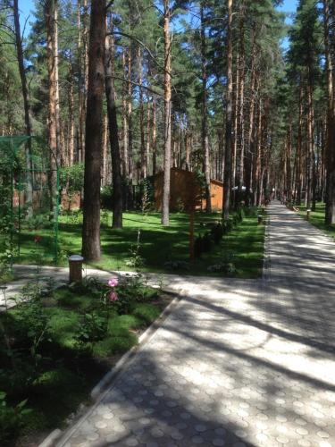 Фотография базы отдыха Чайка