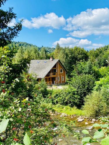 Фотографии гостевого дома 
            Synevyr Magic House - дом в сердце Карпат