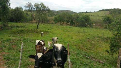 Фотография гостевого дома Sossego Da Mata