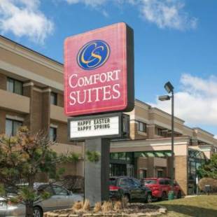 Фотографии гостиницы 
            Comfort Suites Oakbrook Terrace near Oakbrook Center